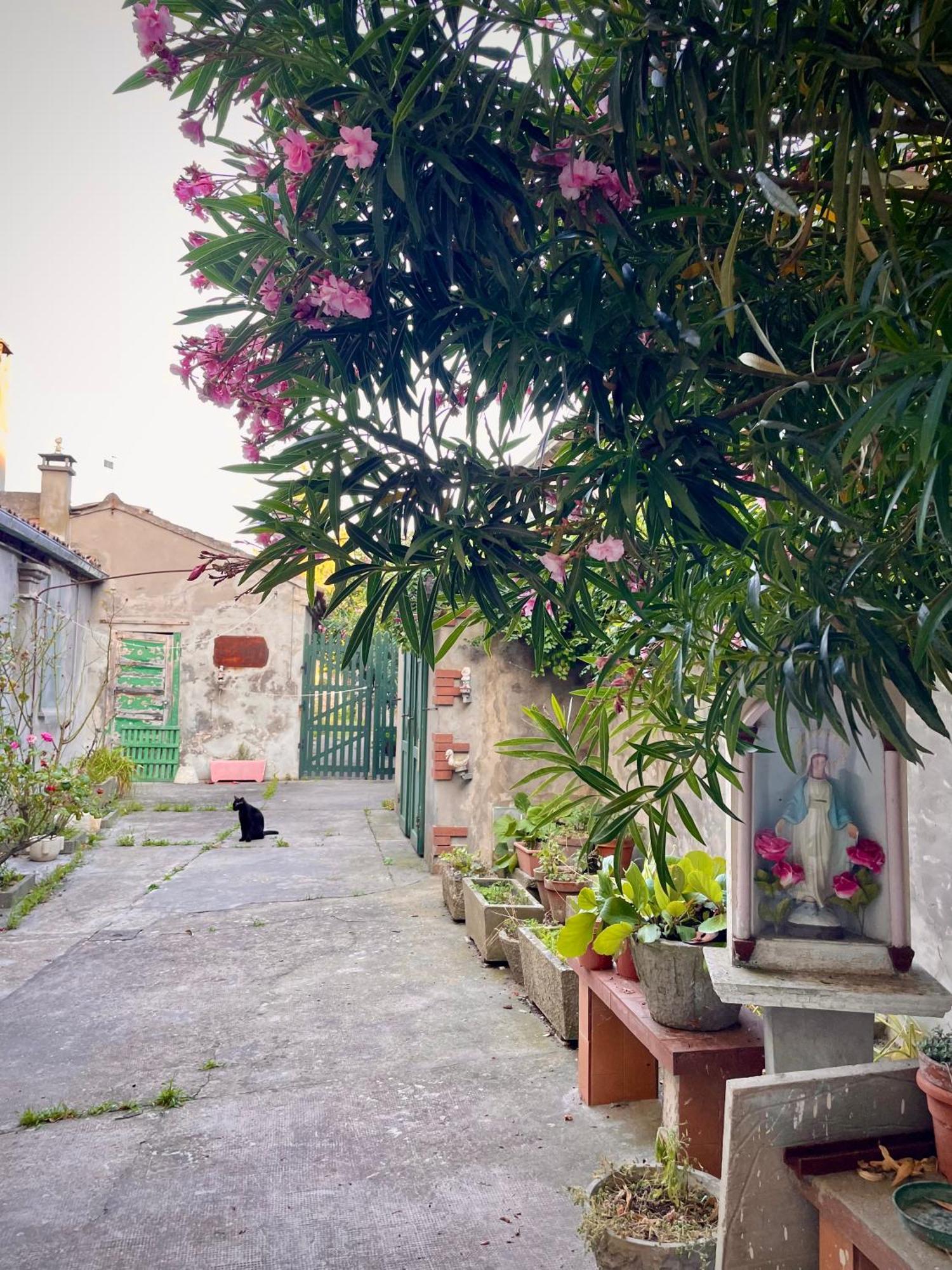 L'Encanto De Luna -Una Casa Autentica Comacchiese Comacchio Zewnętrze zdjęcie